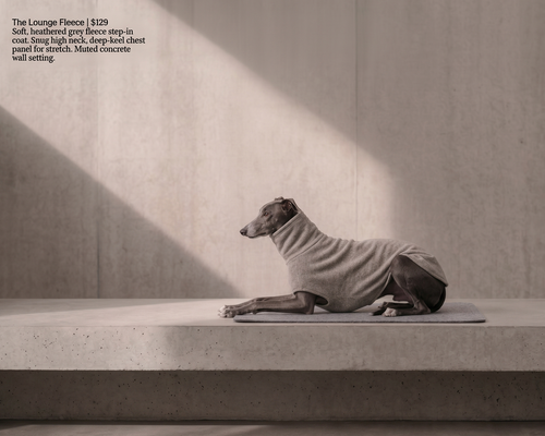 The Lounge Fleece - Pet Paw Company