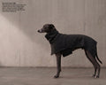 A greyhound dog wearing a dark charcoal wool coat stands in profile against a textured concrete wall. Text in the upper left reads 'The Form Coat | $389' with product details, and a small white star-like logo appears near the bottom right.