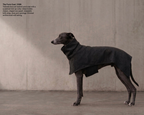 A greyhound dog wearing a dark charcoal wool coat stands in profile against a textured concrete wall. Text in the upper left reads 'The Form Coat | $389' with product details, and a small white star-like logo appears near the bottom right.